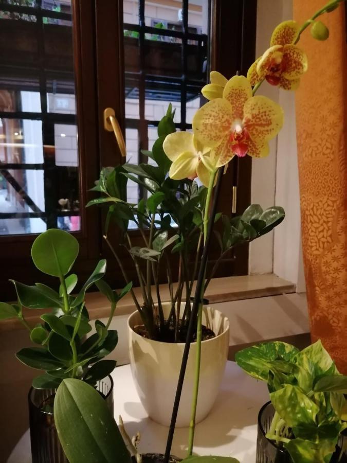 Hotel Julia Rome Bagian luar foto